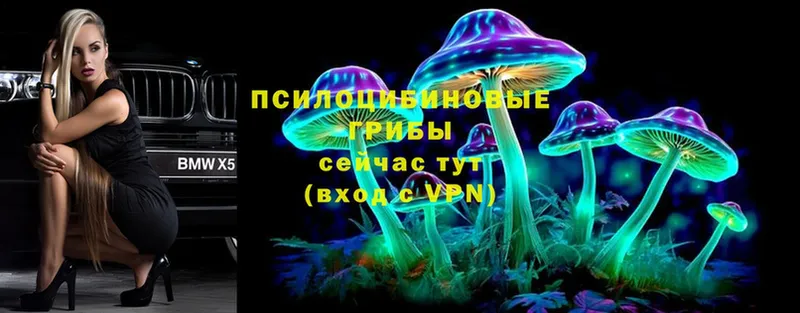 Галлюциногенные грибы MAGIC MUSHROOMS  Саров 